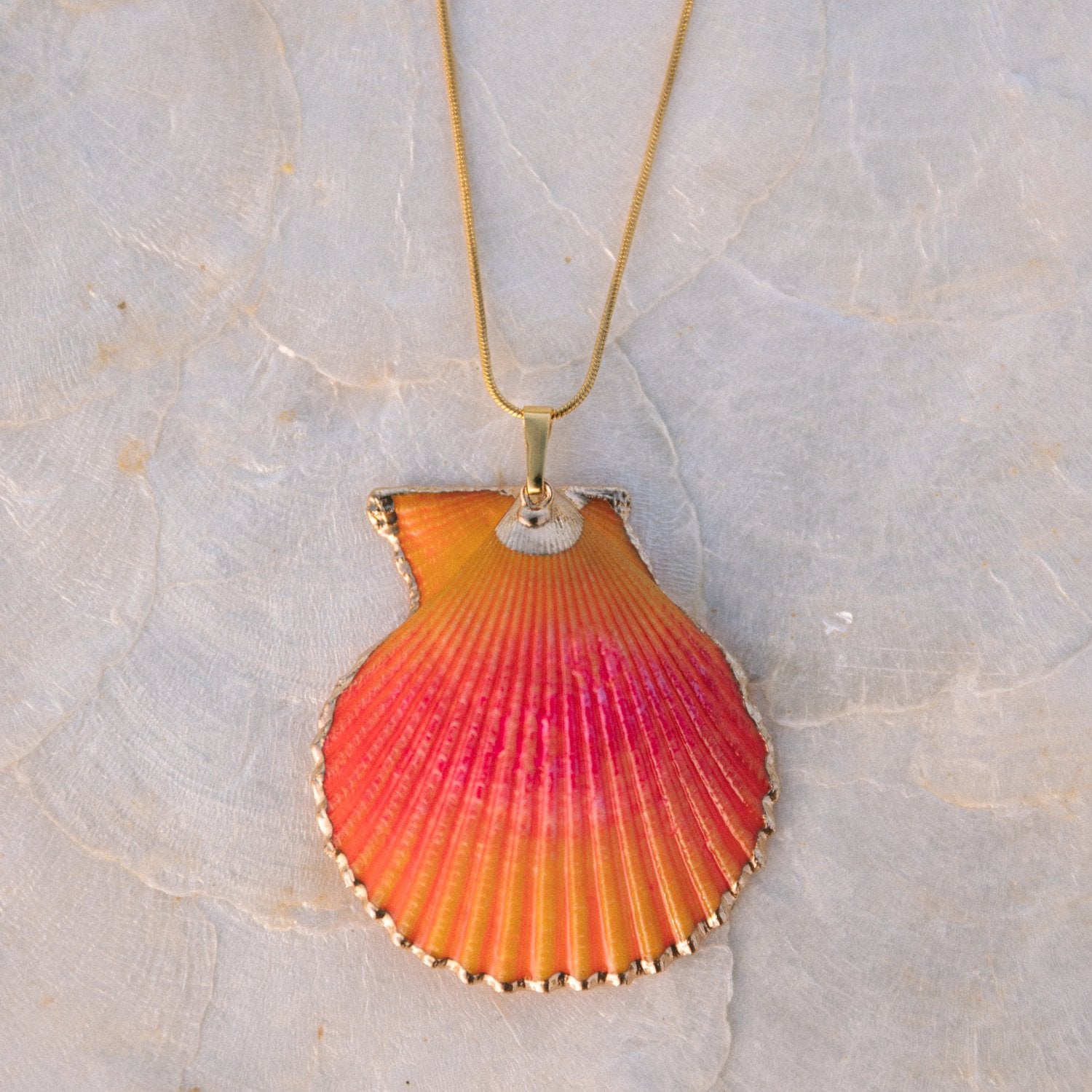 Scallop Shell Necklace