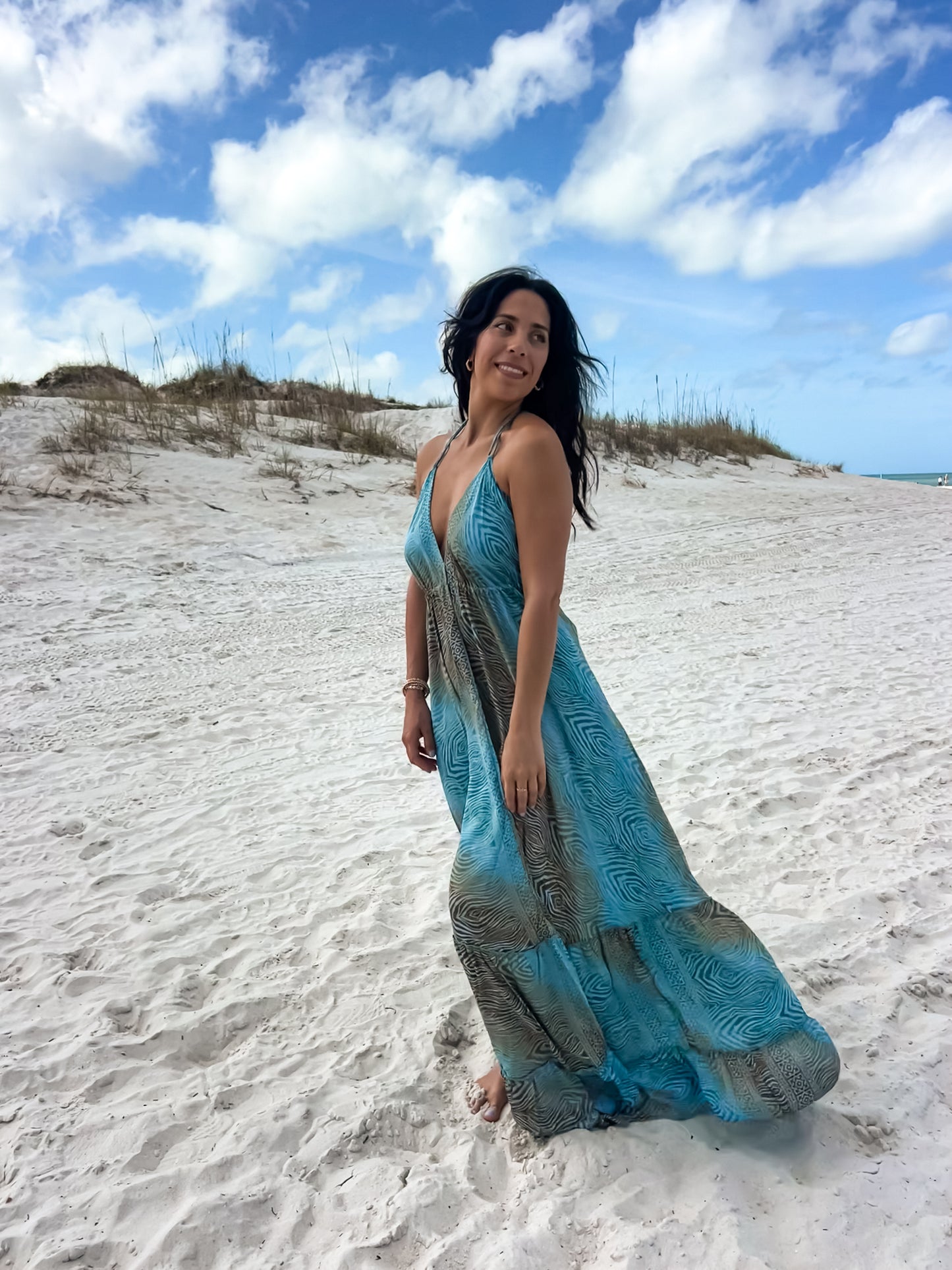 Aqua Brown Low Back Dress