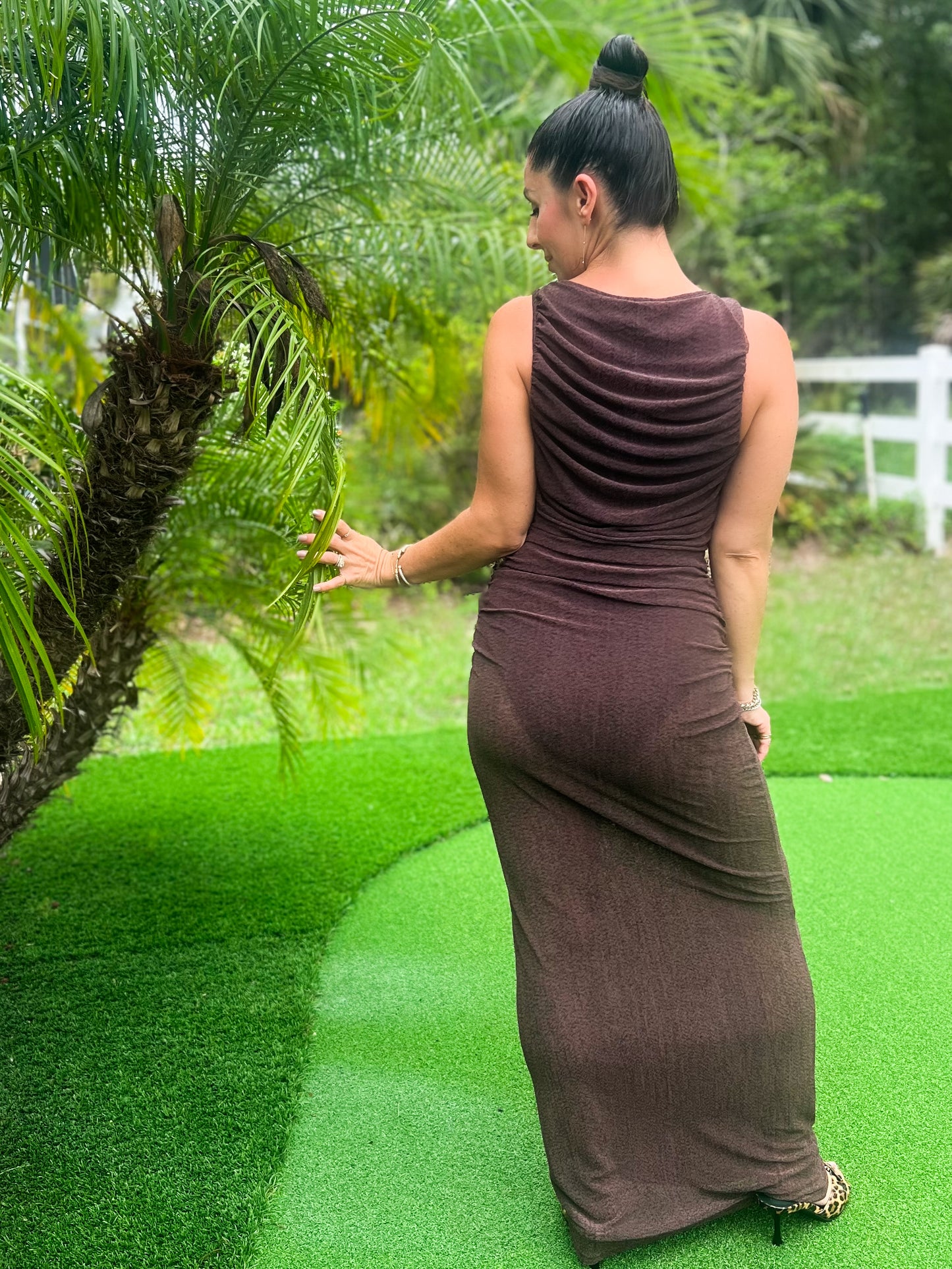 Chocolate Mousse Sheer Dress