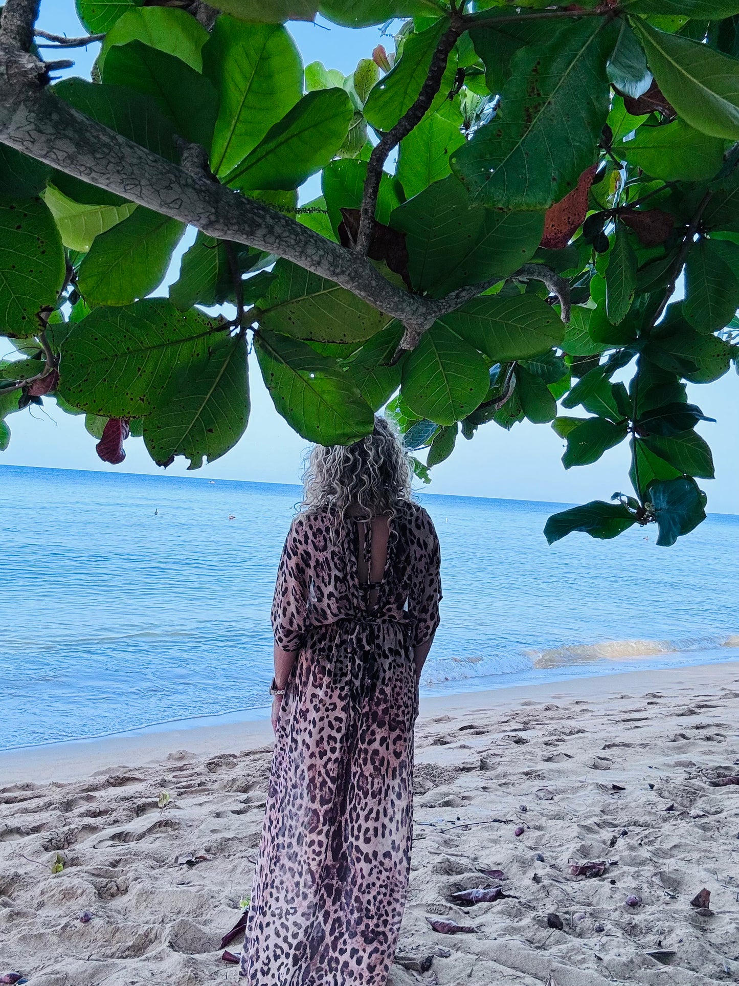 Sheer Cheetah Coverup